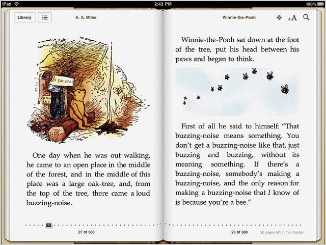 Read ebooks on iPad Mini 2