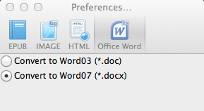 PDF to Word Setting