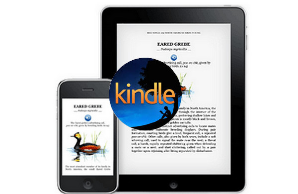 read kindle books on iphone or ipad